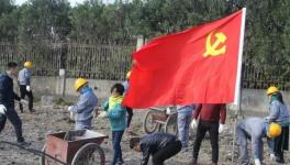 寧波海螺水泥公司黨員突擊隊 “造綠色廠區(qū)，建美麗企業(yè)”