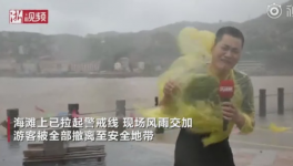 霸王級臺風(fēng)席卷多省份!近1000家水泥銷售受影響！  