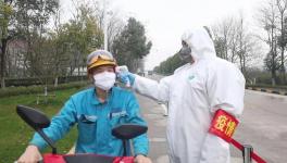 視頻：無人駕駛調(diào)試、大型設(shè)備組裝......蕪湖海螺復(fù)產(chǎn)！