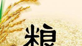 全球糧食市場(chǎng)異動(dòng)，每個(gè)人都要提前應(yīng)對(duì)了！