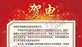 又是海螺水泥！創(chuàng)造世界水泥行業(yè)奇跡！