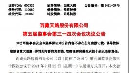 西藏天路股份有限公司高管人員任職大變動！