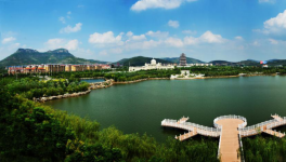 山東省棗莊市51條水泥立窯生產(chǎn)線全部關(guān)停！