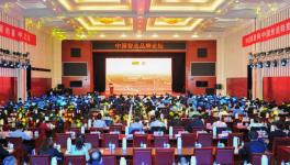 中建材在全球承接379條水泥生產(chǎn)線、市場占有率超過65%！