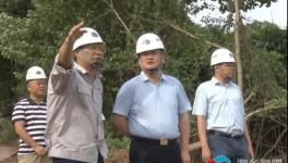 南方水泥上半年?duì)I收3.65億元！新項(xiàng)目推進(jìn)中！