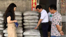 市場上這7個主要水泥品牌被質(zhì)量抽檢！