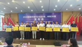 銅陵上峰:連續(xù)9年上榜“地方企業(yè)50強”！