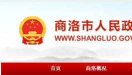 村民反映水泥路和泥巴一樣，政府回復(fù)了！