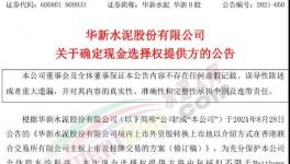 大事！海螺“出手”華新！