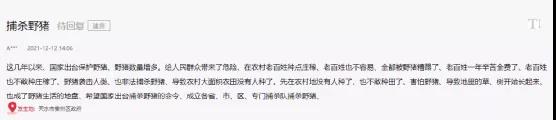 海螺突遇“棘手”問(wèn)題！ 野豬集體來(lái)“做客”！