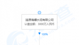 加速收購！海螺水泥在下一盤大棋！