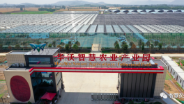 巧用水泥余熱，工業(yè)轉(zhuǎn)型反哺農(nóng)業(yè)！