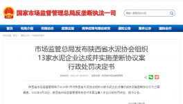 陜西水泥協(xié)會(huì)及13家水泥企業(yè)被罰4.51億！
