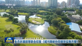 環(huán)保政策加嚴(yán)！氨逃逸不超標(biāo)這些企業(yè)做到了！