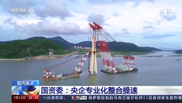 央視新聞報道：中國建材專業(yè)化整合成效經(jīng)驗交流！