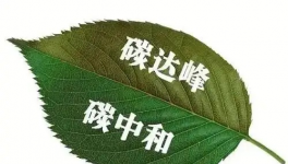 縫出匠心！這家環(huán)保企業(yè)脫穎而出！市場占有率名列前茅！