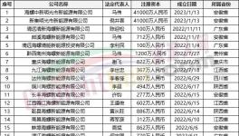 瘋狂！“上下”通吃！海螺連續(xù)成立50多家公司！