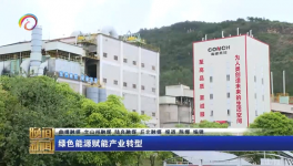 海螺水泥兩家工廠同一天都上電視啦！